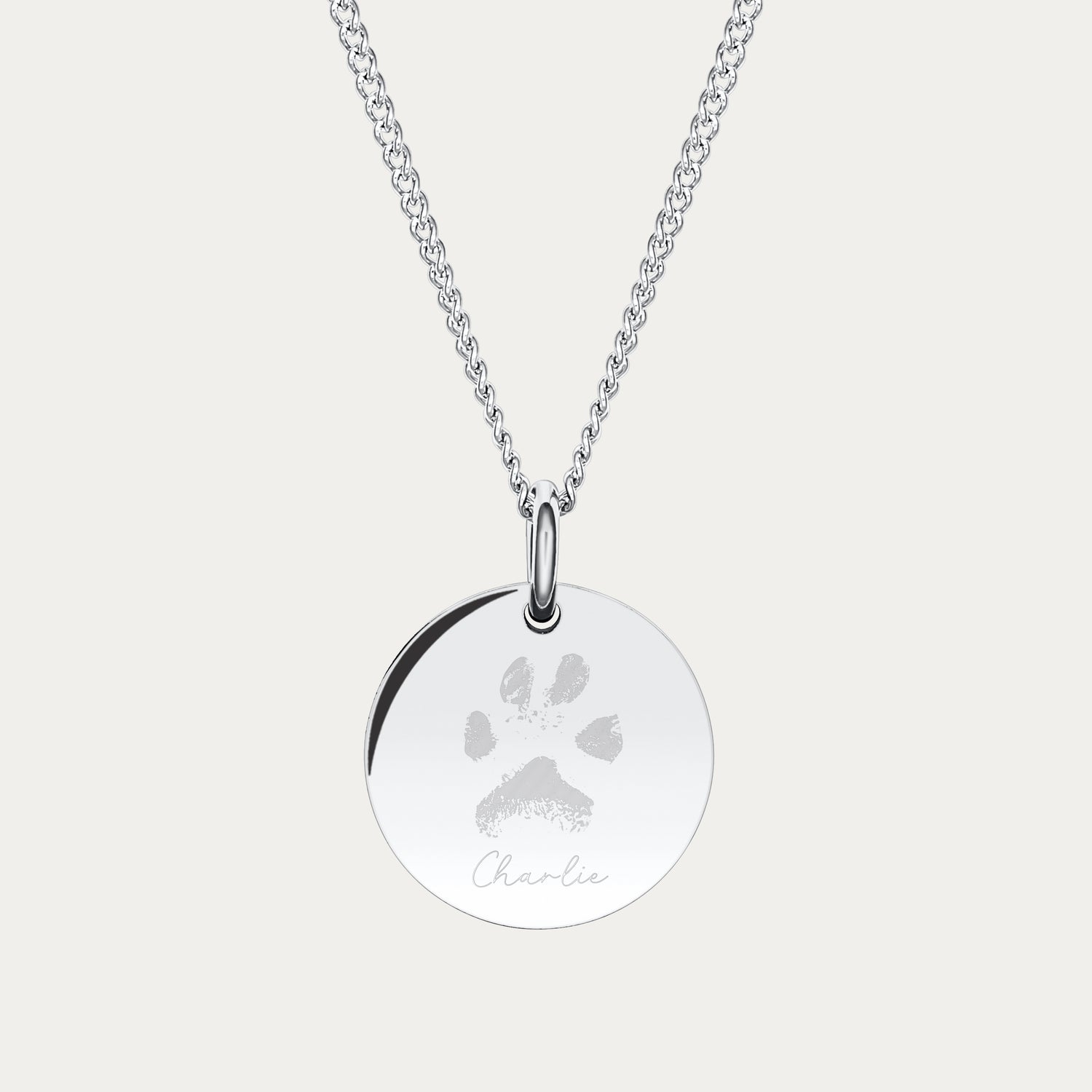 Amelia Disc Silver Paw / Nose Print Necklace