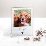 Pet Portrait Acrylic Block - A6