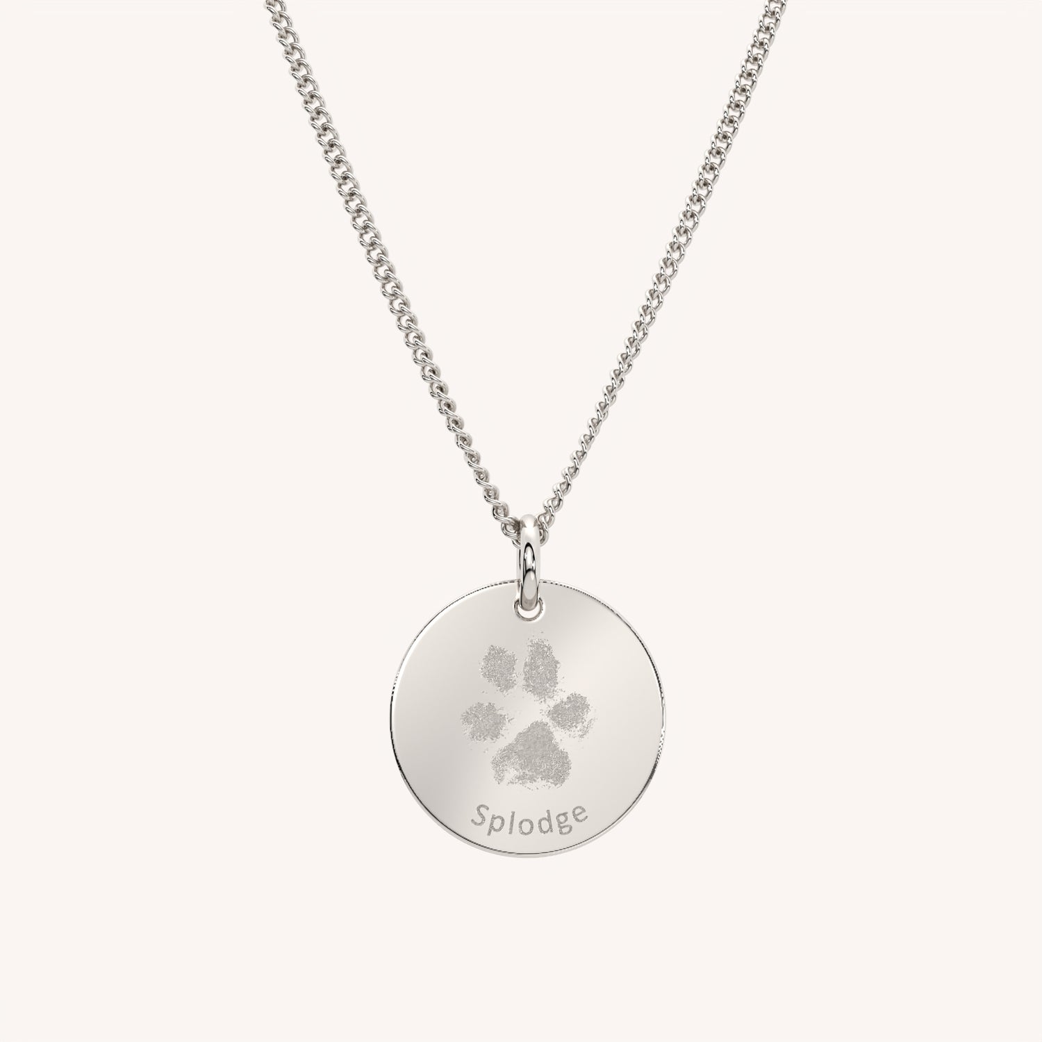 Amelia Disc Silver Paw / Nose Print Necklace