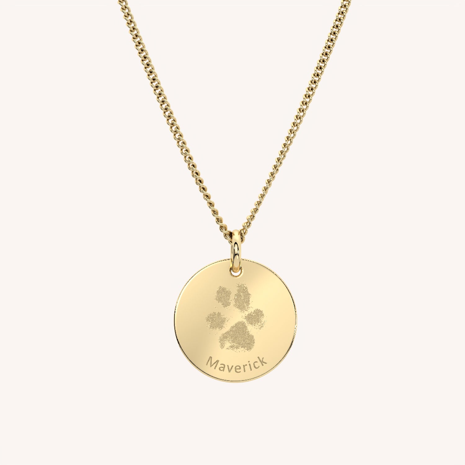 Amelia Disc Gold Paw / Nose Print Necklace